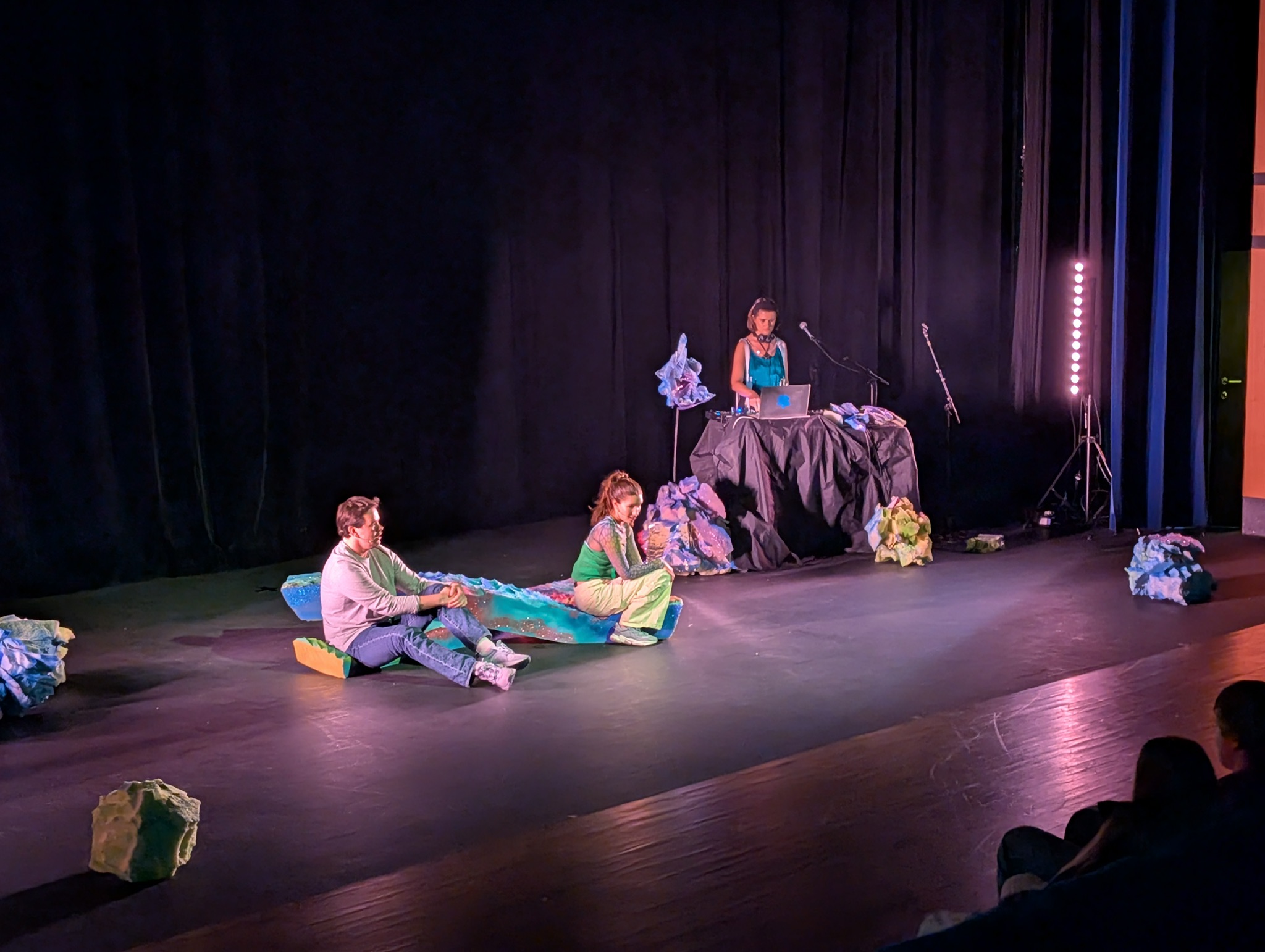 Time For A Real Investment In The Performing Arts For The Young PXL 20250204 181339020 